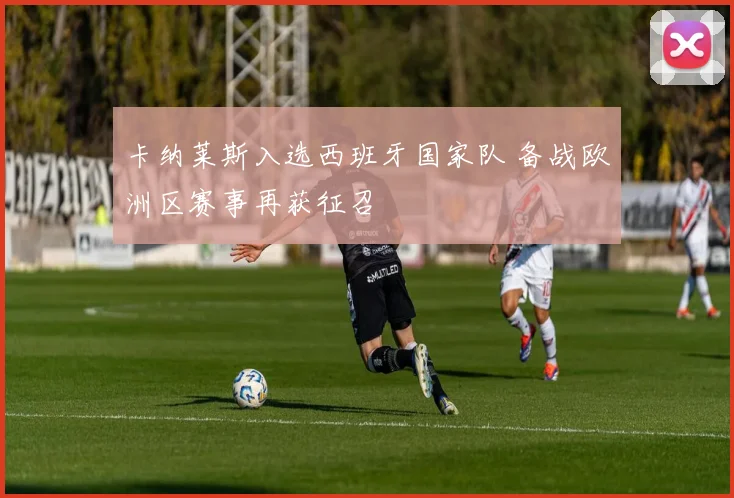 卡纳莱斯入选西班牙国家队 备战欧洲区赛事再获征召