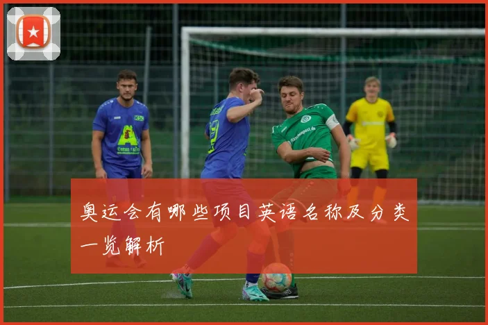 奥运会有哪些项目英语名称及分类一览解析