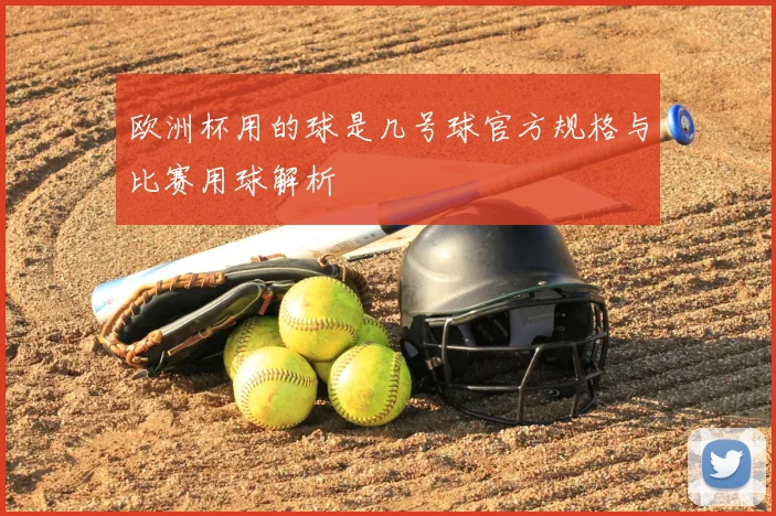 欧洲杯用的球是几号球官方规格与比赛用球解析