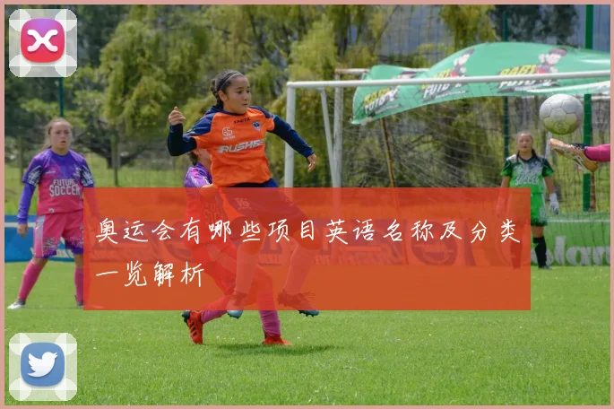 奥运会有哪些项目英语名称及分类一览解析