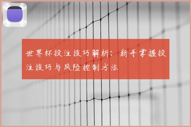 世界杯投注技巧解析:新手掌握投注技巧与风险控制方法