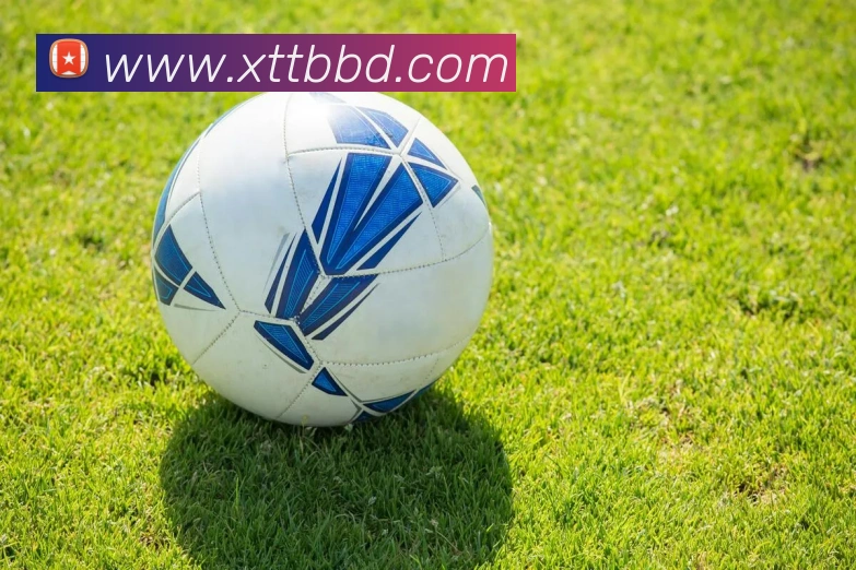 开云在线手机登陆品牌故事